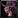 ability_hunter_pet_bat.jpg