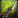inv_weapon_shortblade_78.jpg